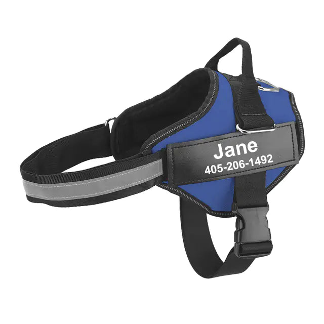 Pet Leash Strap