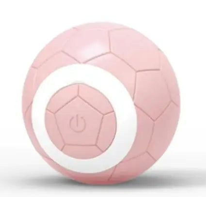 Smart Pet Ball Toy
