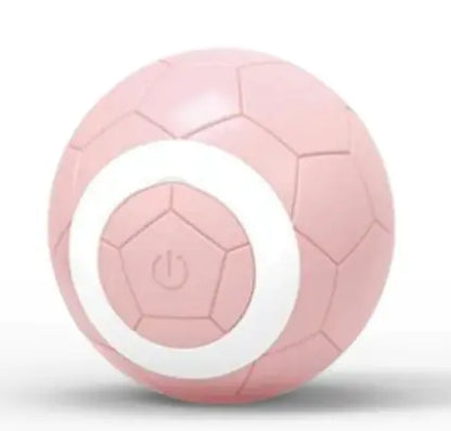 Smart Pet Ball Toy
