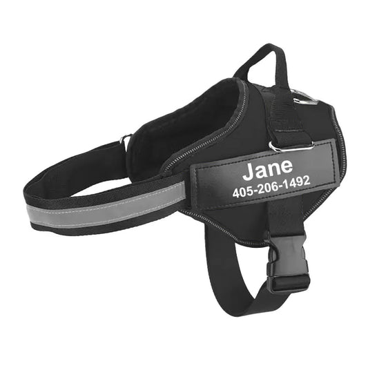 Pet Leash Strap