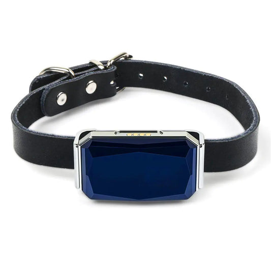 GPS Pet Collar Tracker