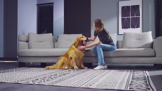 PetCare Pro Bundle