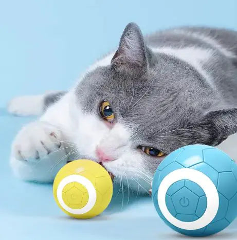 Smart Pet Ball Toy